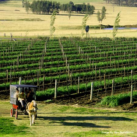 The image �http://pousette.net/pages/wine%20gallery/images/horse%20and%20cart%20no1.jpg� cannot be displayed, because it contains errors.